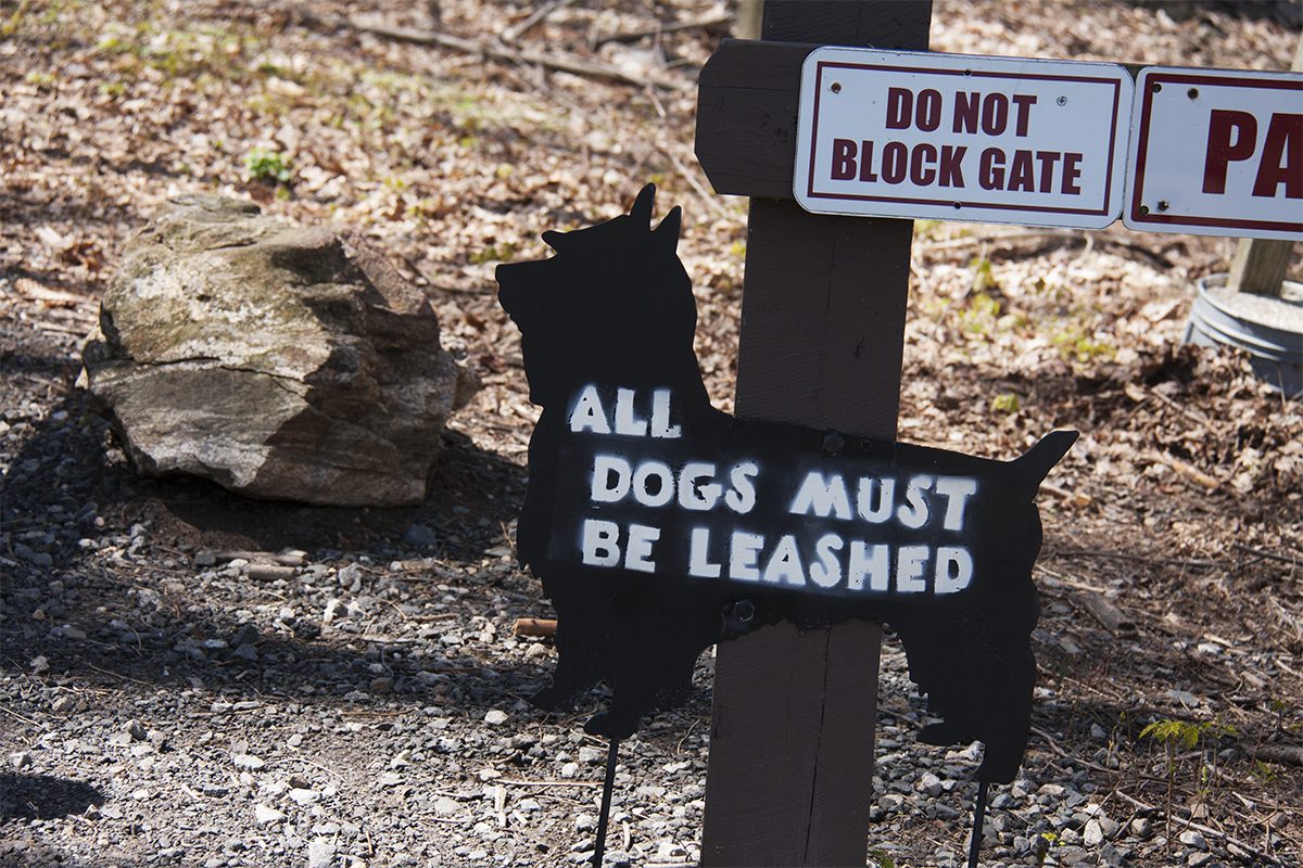 sign of scotty dog with leash message