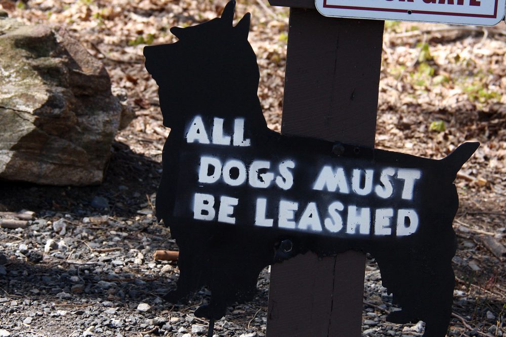 all dogs must be leashed scotty dog sign