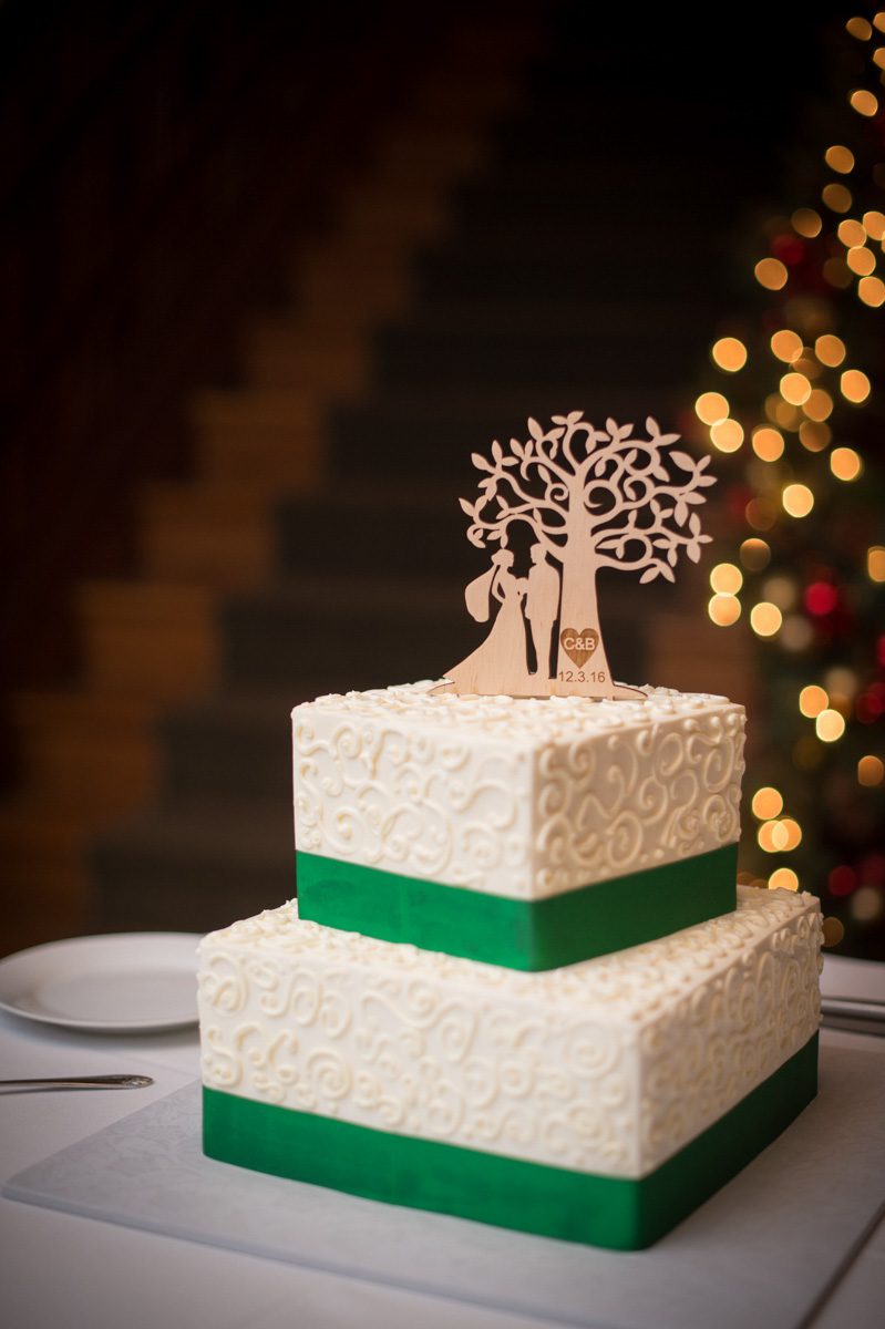 two tier white cake with bride, groom, tree silouette topper