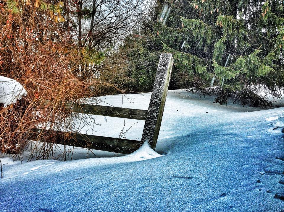 snow covered fence