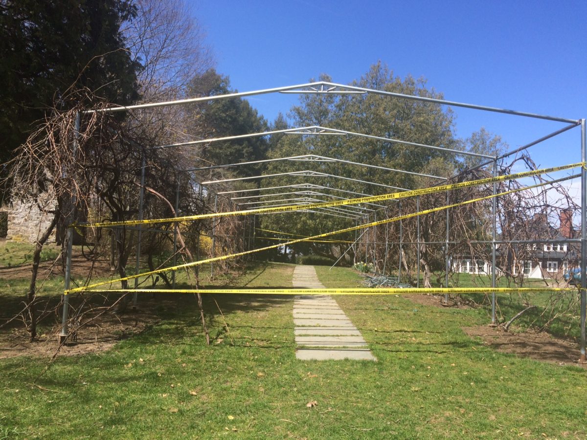 Grape Arbor Destruction