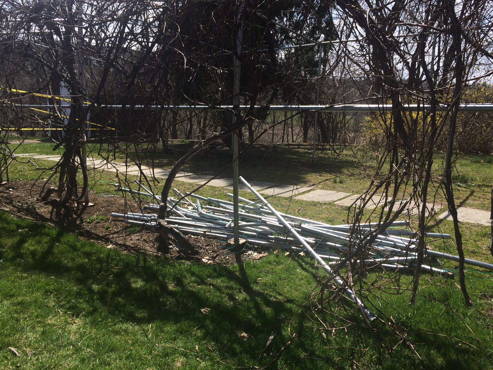 Grape Arbor Structural Damage