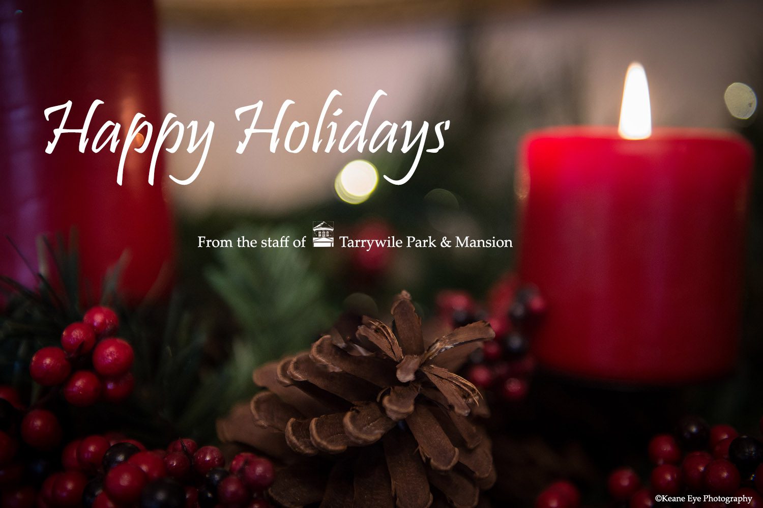 lighted candle with pinecones and berries