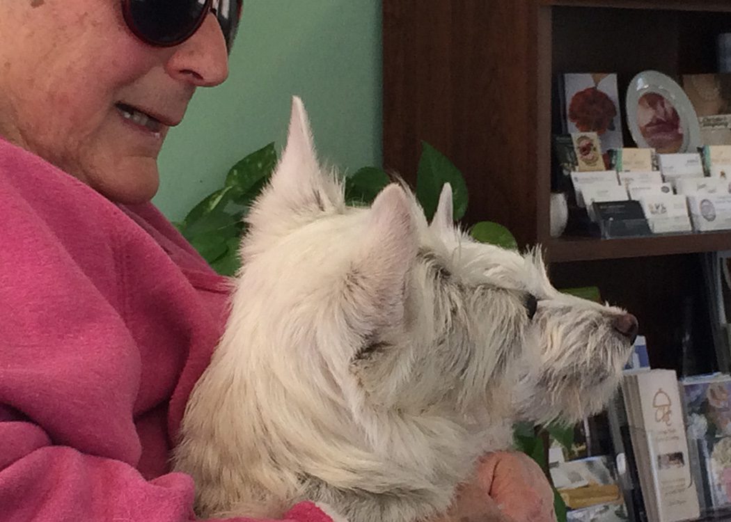 ellie holding her two scottish terriers